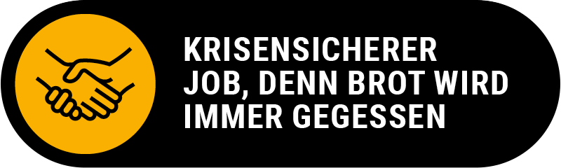 krisensicherer Job